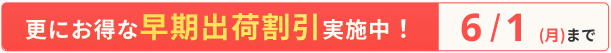 新規キャンペーン