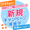 新規キャンペーン