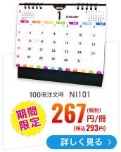 NI101